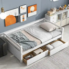 Divano Letto Singolo con 2 Cassetti Contenitore – Grigio