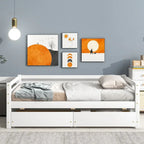 Divano Letto Singolo con 2 Cassetti Contenitore – Grigio